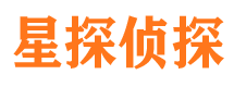 鱼峰侦探公司